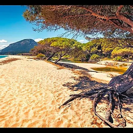 Idyllic Cala Viola Sleeps 2